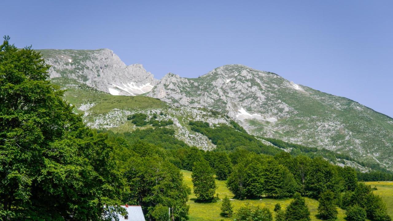 Mountain House Drveni Raj Žabljak Exterior foto